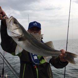 深川　吉野屋 釣果