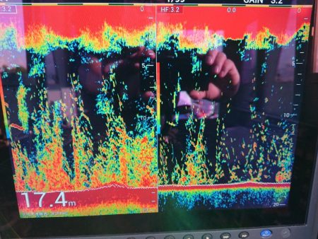 深川 吉野屋 釣果