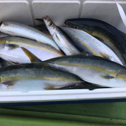 深川 吉野屋 釣果