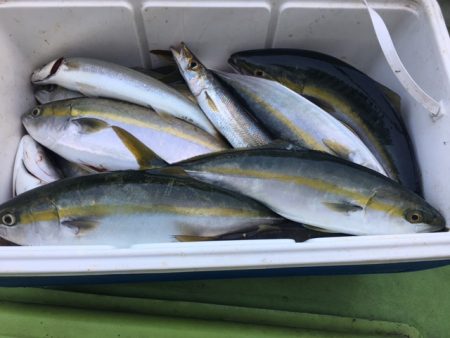 深川 吉野屋 釣果