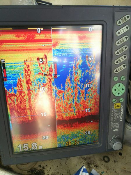 深川 吉野屋 釣果