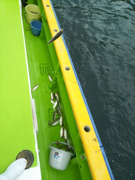 深川 吉野屋 釣果