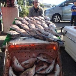 カタタのつり堀 釣果