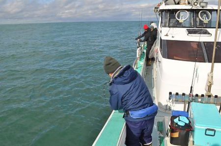 八海丸 釣果