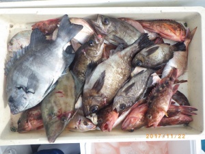 石川丸 釣果