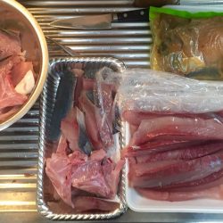 初のハマチゲット\(^o^)/