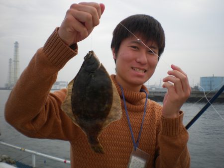 オリジナルメーカー海づり公園(市原市海づり施設) 釣果