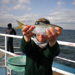 オリジナルメーカー海づり公園(市原市海づり施設) 釣果