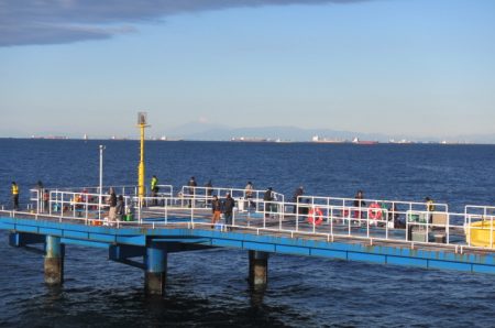 オリジナルメーカー海づり公園(市原市海づり施設) 釣果