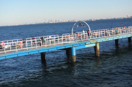 オリジナルメーカー海づり公園(市原市海づり施設) 釣果