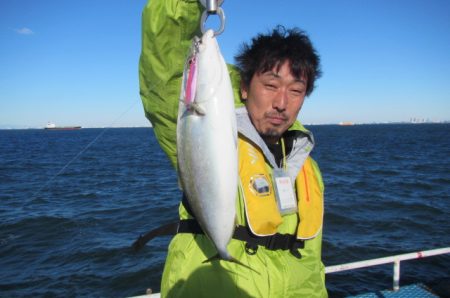 オリジナルメーカー海づり公園(市原市海づり施設) 釣果