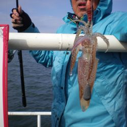 オリジナルメーカー海づり公園(市原市海づり施設) 釣果