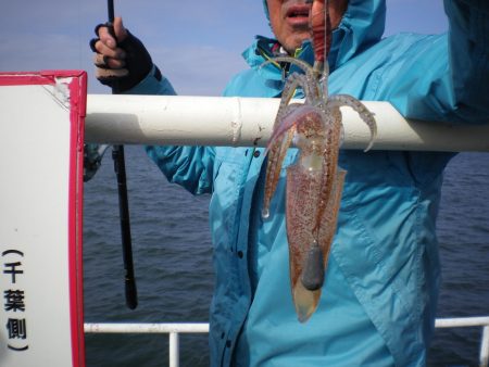 オリジナルメーカー海づり公園(市原市海づり施設) 釣果