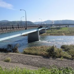 狩野川(狩野川漁業協同組合) 釣果