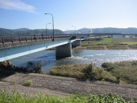 狩野川(狩野川漁業協同組合) 釣果