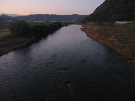 狩野川(狩野川漁業協同組合) 釣果