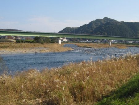狩野川(狩野川漁業協同組合) 釣果