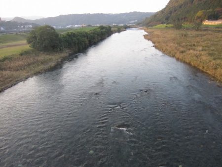 狩野川(狩野川漁業協同組合) 釣果
