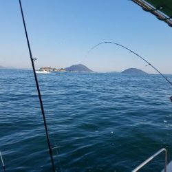 Magic(マジック) 釣果