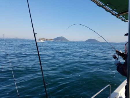 Magic(マジック) 釣果