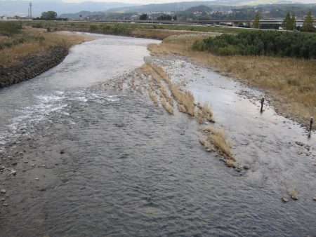 狩野川(狩野川漁業協同組合) 釣果