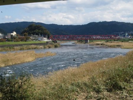 狩野川(狩野川漁業協同組合) 釣果