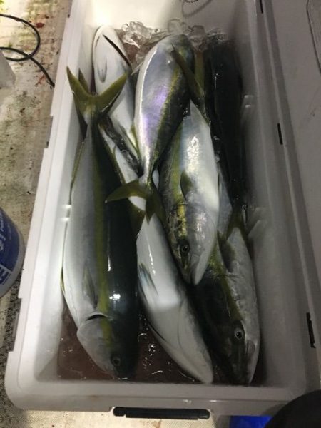 龍宮丸 釣果