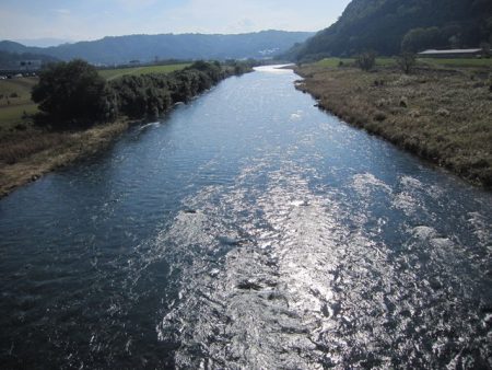 狩野川(狩野川漁業協同組合) 釣果