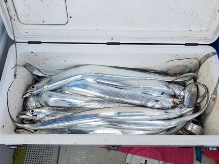 遊漁船　ニライカナイ 釣果