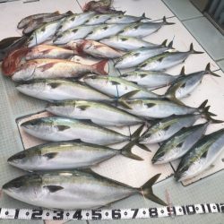 ふじしめ丸 釣果