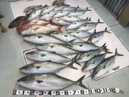 ふじしめ丸 釣果