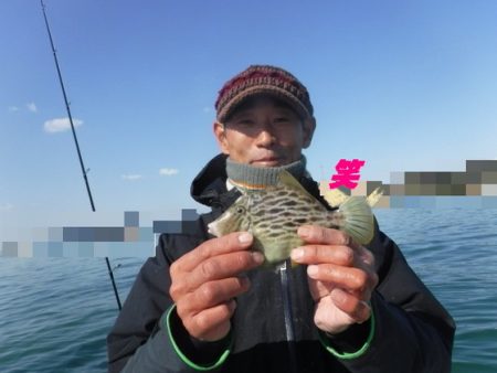 遊漁船 幸友丸 釣果