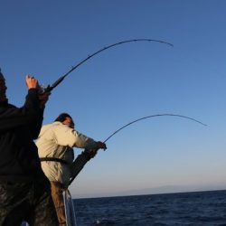 へいみつ丸 釣果