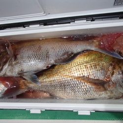 第二むつ漁丸 釣果