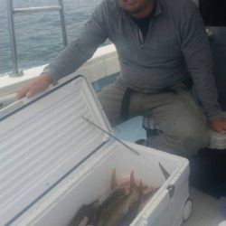 第五慶門丸 釣果