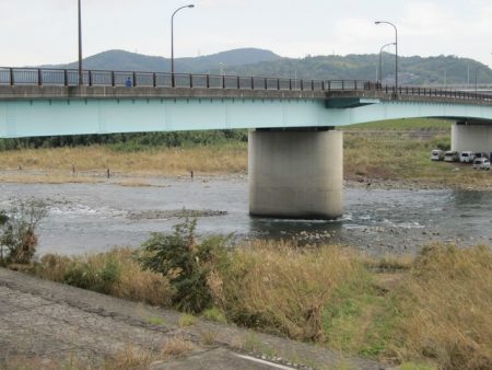 狩野川(狩野川漁業協同組合) 釣果