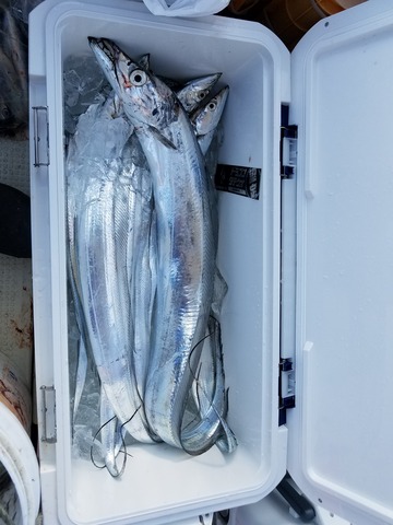 遊漁船　ニライカナイ 釣果