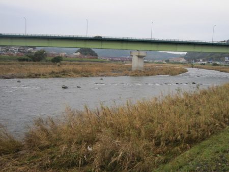 狩野川(狩野川漁業協同組合) 釣果