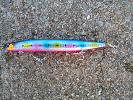 青物のミノーイング