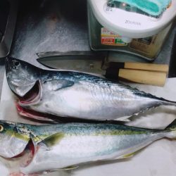 浜吉丸でいく小浦一文字10