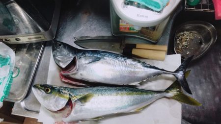 浜吉丸でいく小浦一文字10