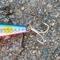 青物のミノーイング