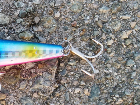 青物のミノーイング