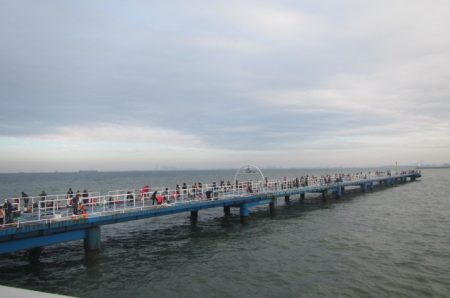 オリジナルメーカー海づり公園(市原市海づり…