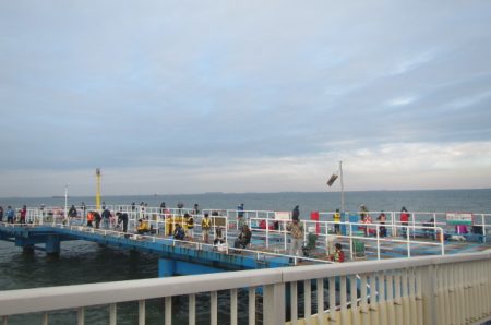 オリジナルメーカー海づり公園(市原市海づり施設) 釣果