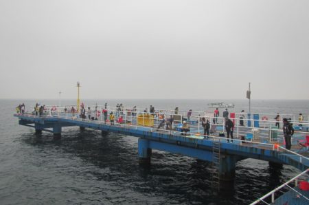 オリジナルメーカー海づり公園(市原市海づり施設) 釣果