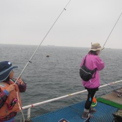 オリジナルメーカー海づり公園(市原市海づり施設) 釣果