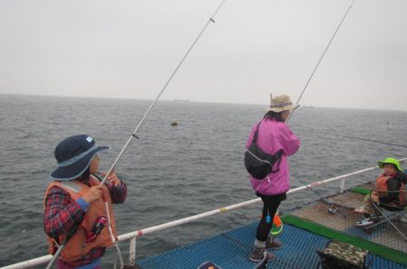 オリジナルメーカー海づり公園(市原市海づり施設) 釣果