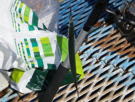 オリジナルメーカー海づり公園(市原市海づり施設) 釣果