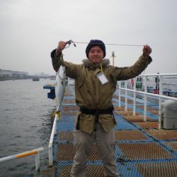 オリジナルメーカー海づり公園(市原市海づり施設) 釣果